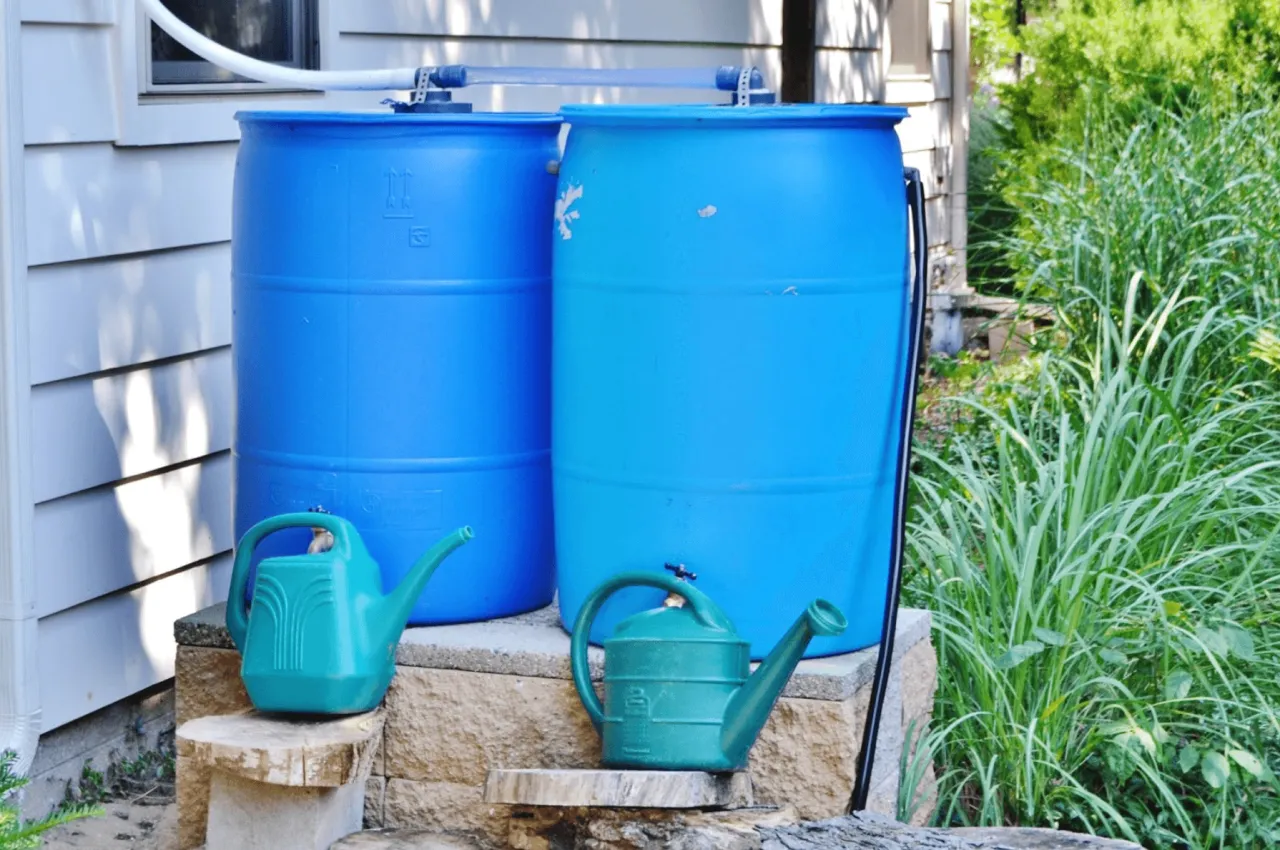 prosty system zbierania deszczówki