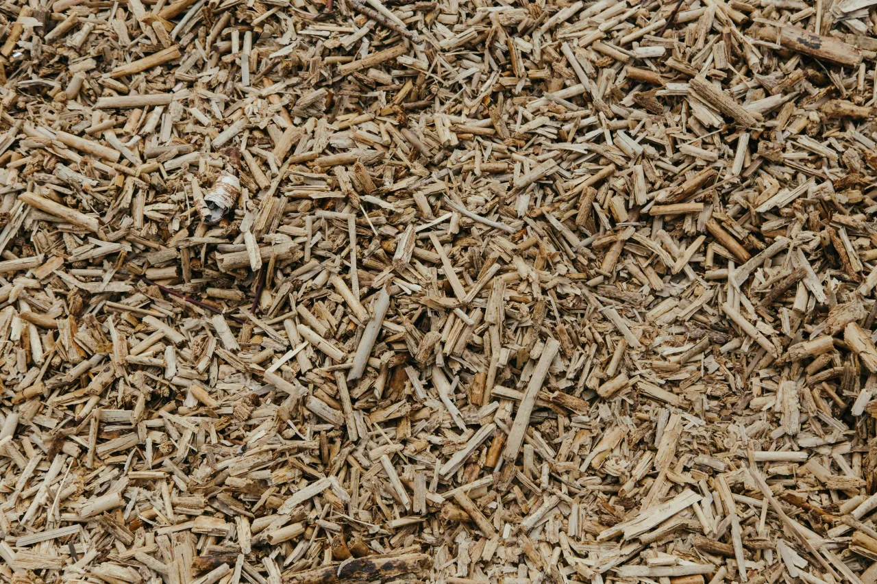 biomasa jako alternatywne źródło ogrzewania ciepłej wody