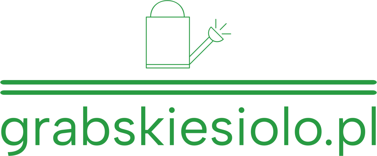 grabskiesiolo.pl