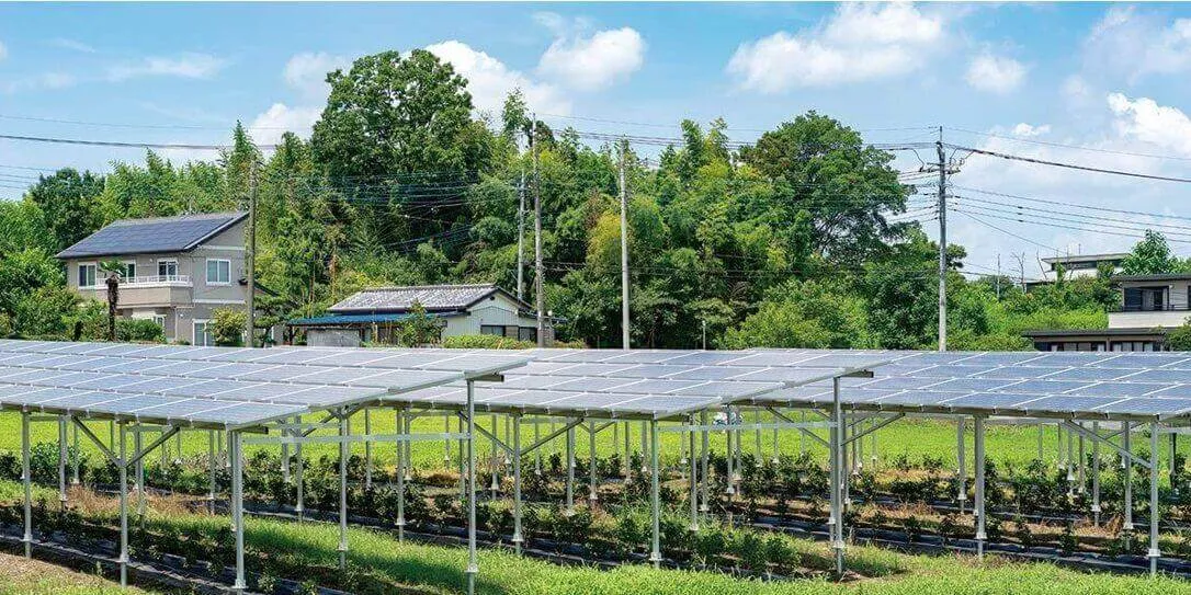 agri pv