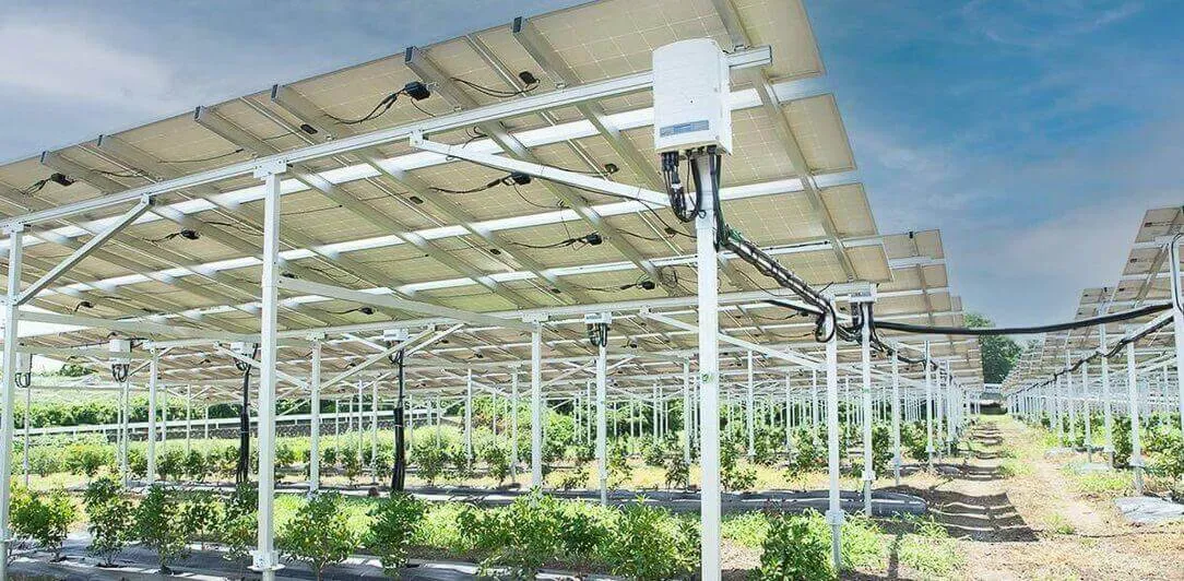 agri pv