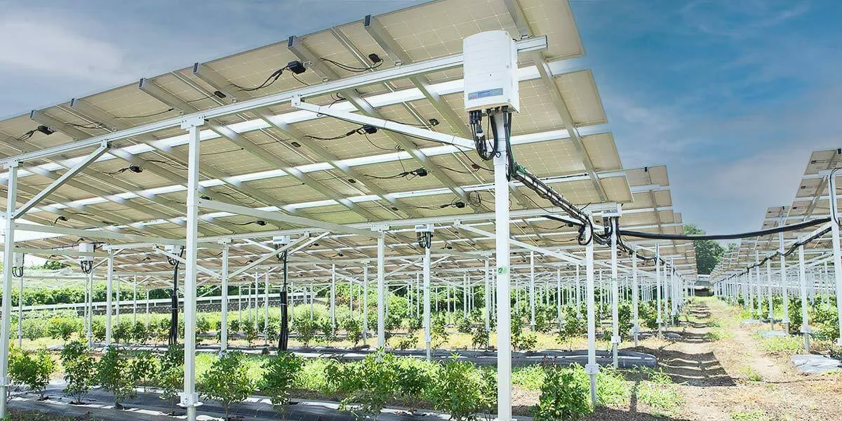 agri pv