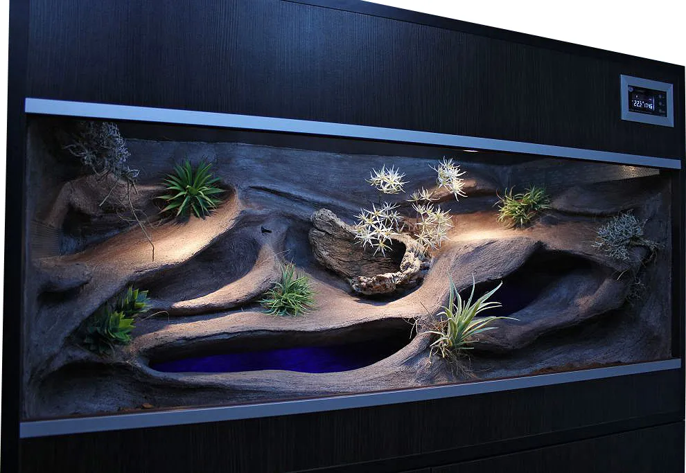 terrarium dla gekona lamparciego wymiary