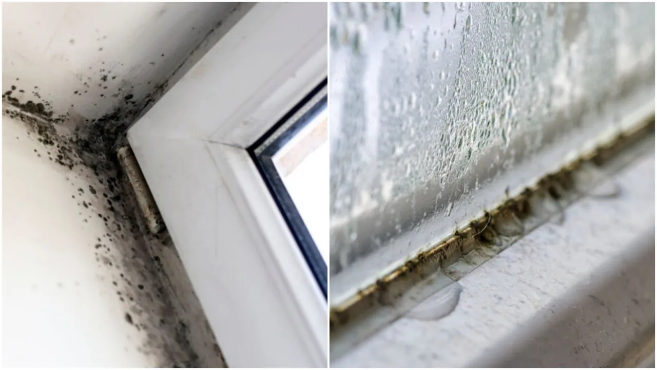 Pleśń na oknie PCV zagrożenia
