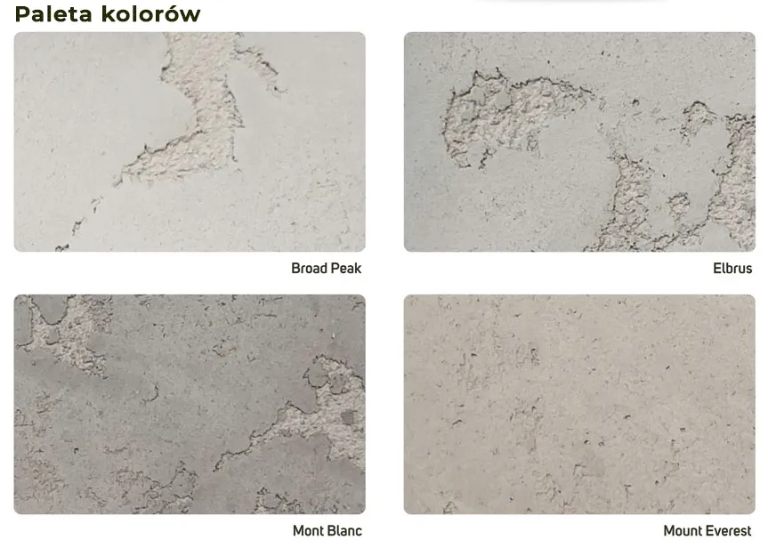 rodzaje farb lakierów impregnatów do betonu efekty