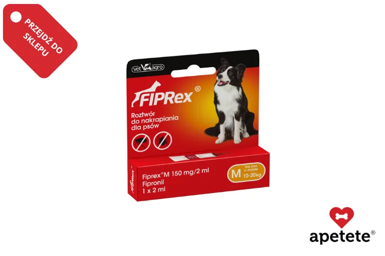 Rodzaje preparatów na kleszcze dla psów: obroże, krople, tabletki