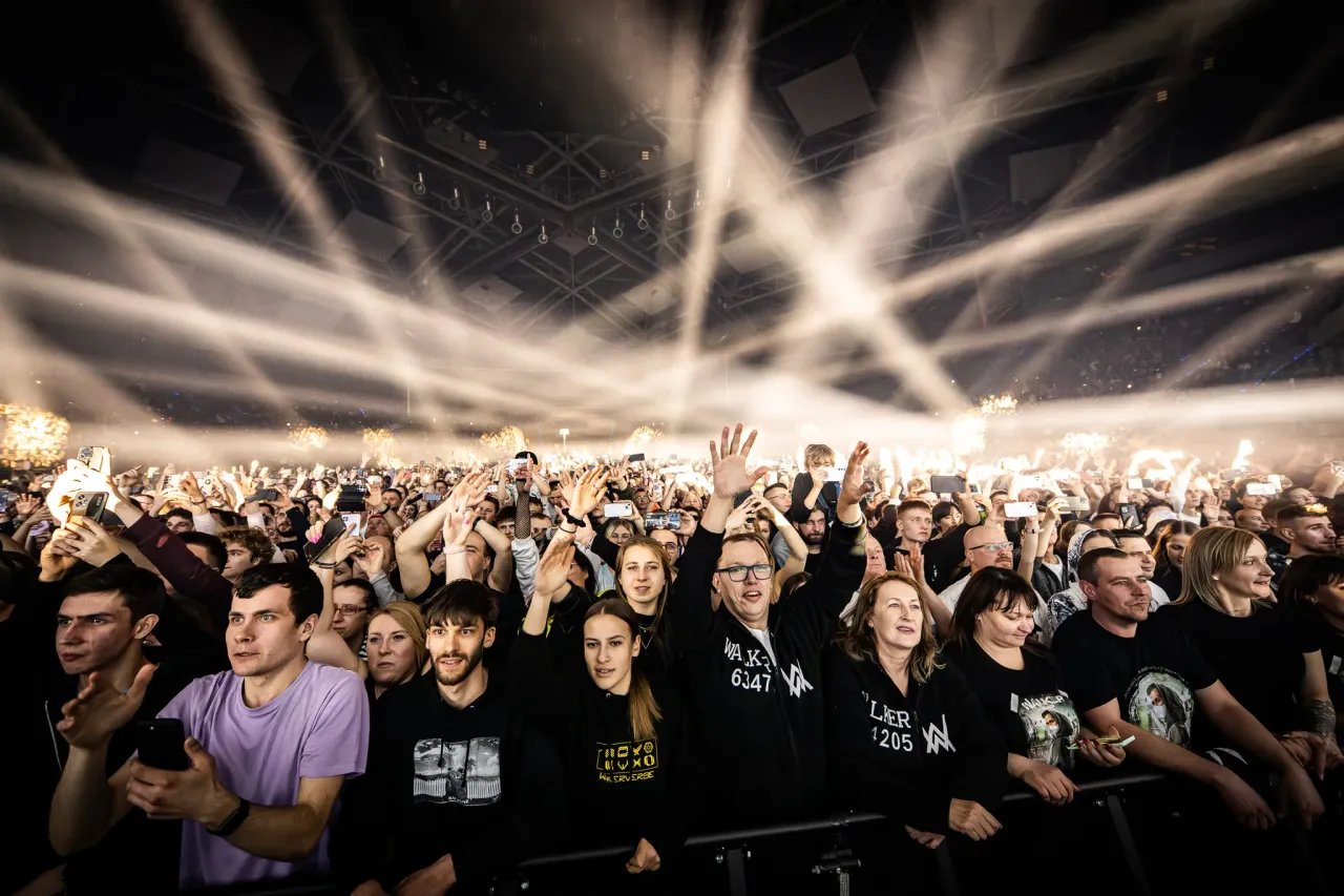 Alan Walker koncert publiczność energia