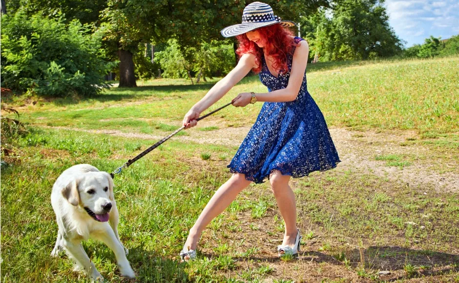 pies ciągnący na smyczy