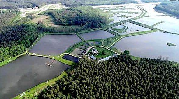 Łowisko Jegiel domek