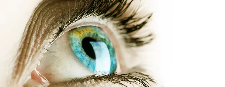 Symulacja widzenia kr&oacute;tkowzroczność -1 -3 -7 dioptrii