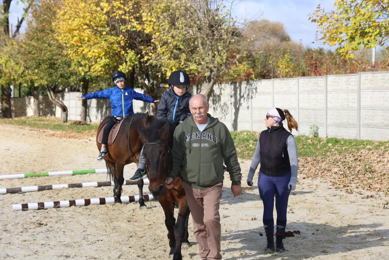 Stowarzyszenie Ikona Jeździectwa Lubuskie hipoterapia