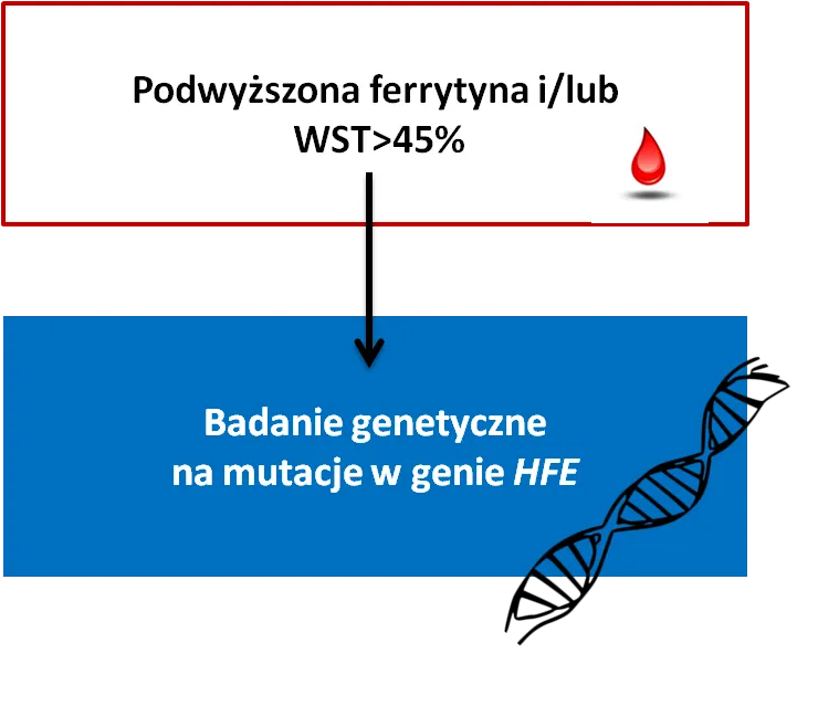 Przyczyny podwyższonej ferrytyny infografika