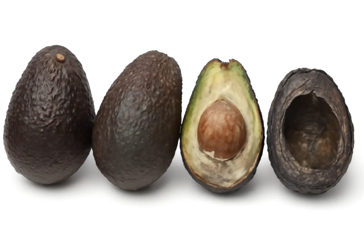 Dwa całe awokado, jedno przekrojone na pół z pestką i jedno całkowicie zepsute. Czy adwokat może się zepsuć? Tak, jak widać.