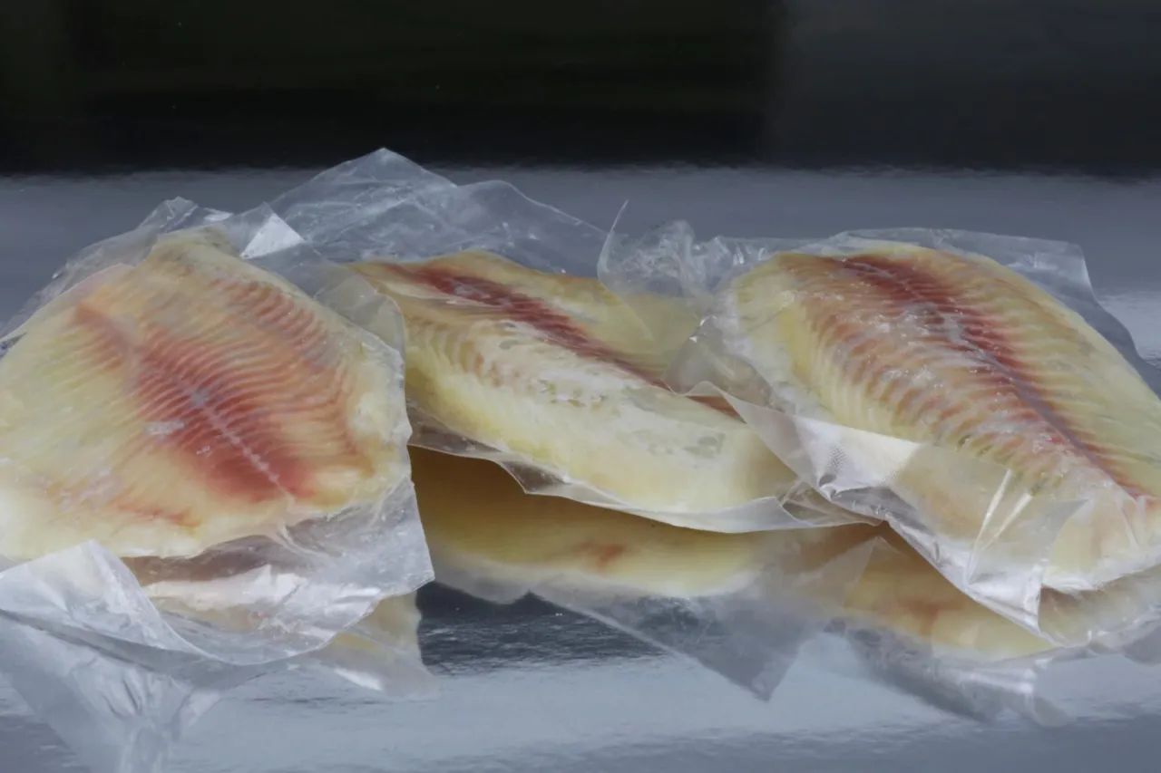 oznaki zepsutej mrożonej ryby oparzelina mrozowa