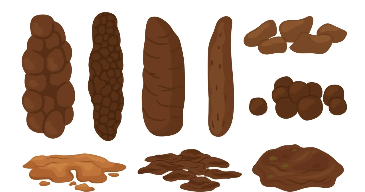 Infografika typów stolca według skali Bristol