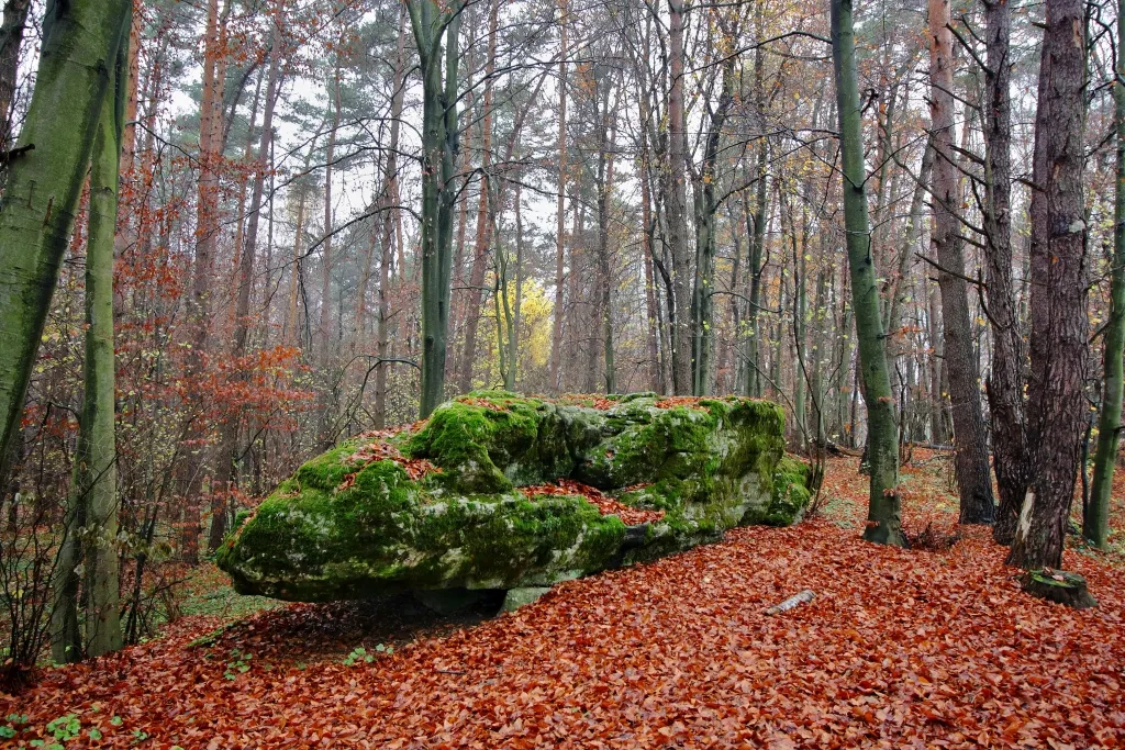 Diabelski Kamień rezerwat Piekiełko Roztocze