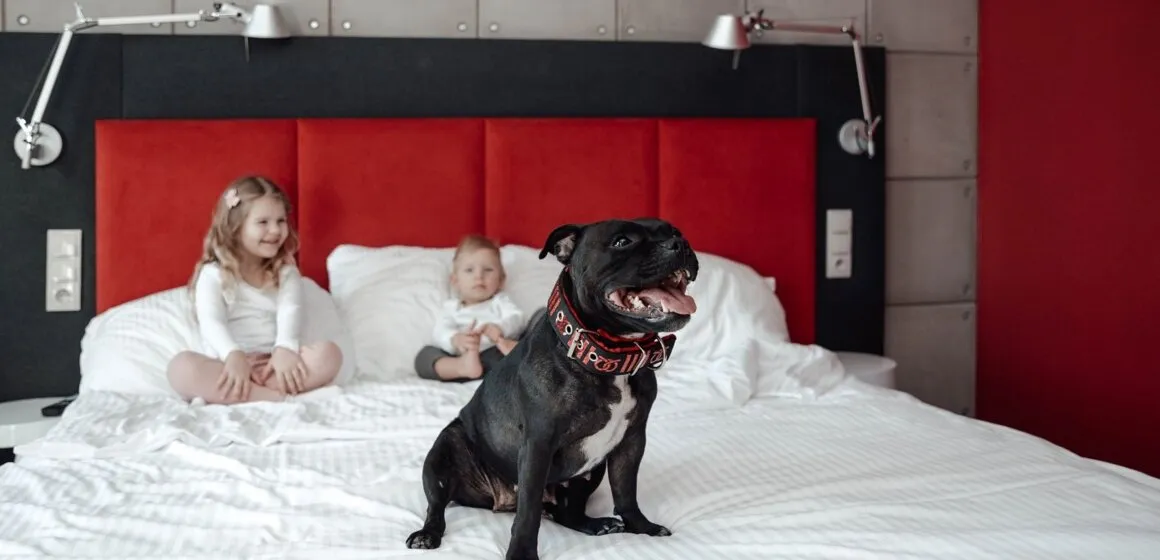 pies w hotelu, hotel przyjazny psom, właściciel z psem w recepcji