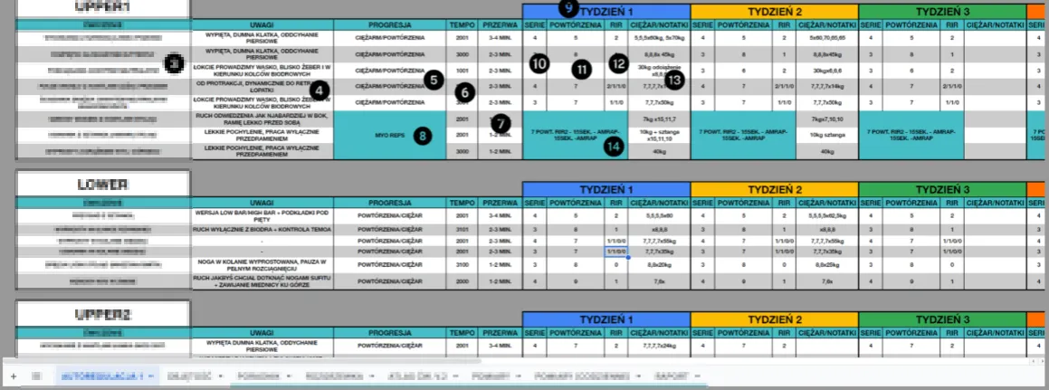 plan treningowy barki początkujący średniozaawansowany zaawansowany