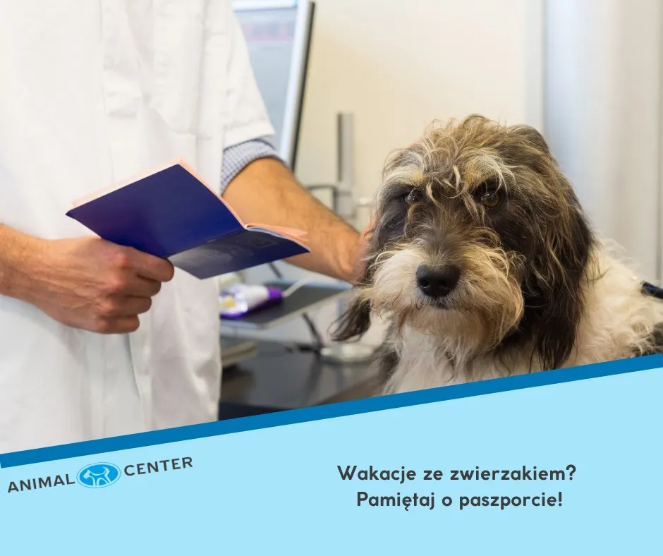 lekarz weterynarii wydający paszport dla psa