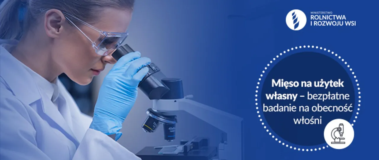 Badanie mięsa na obecność włośni jest bezpłatne. Dowiedz się, ile kosztuje badanie mięsa u weterynarza, jeśli chcesz mieć pewność.