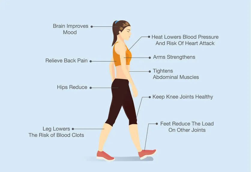 Zdjęcie Czy spacer to cardio? Odkryj, jak efektywnie chodzić dla zdrowia