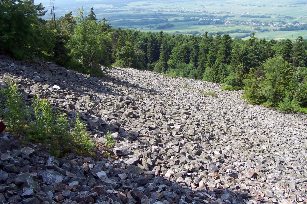 Kamieniste zbocze porośnięte drzewami, krajobraz przypominający ten, który mógłby powstać w warunkach klimatu peryglacjalnego.