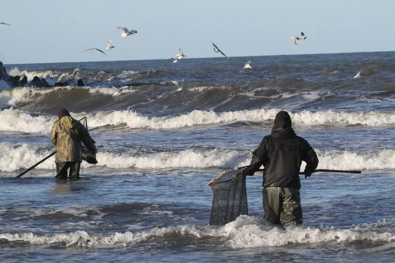 Poszukiwacze bursztynów po sztormie Bałtyk