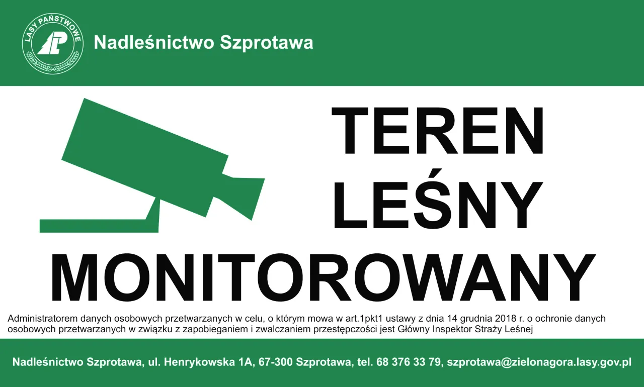 Zdjęcie Czy w lesie są kamery? Oto, co musisz wiedzieć o monitoringu