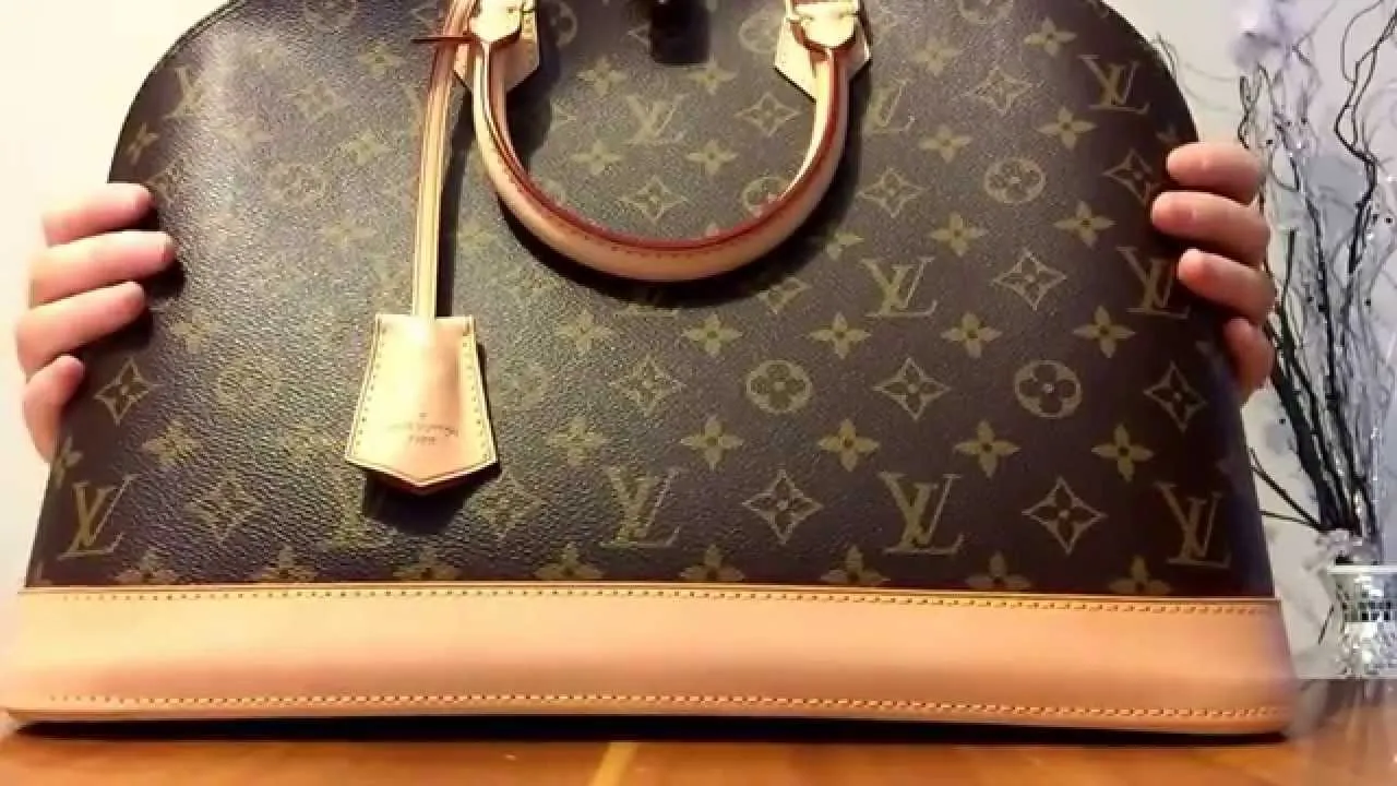 Louis Vuitton Speedy Neverfull Pochette M&eacute;tis Alma zdjęcia