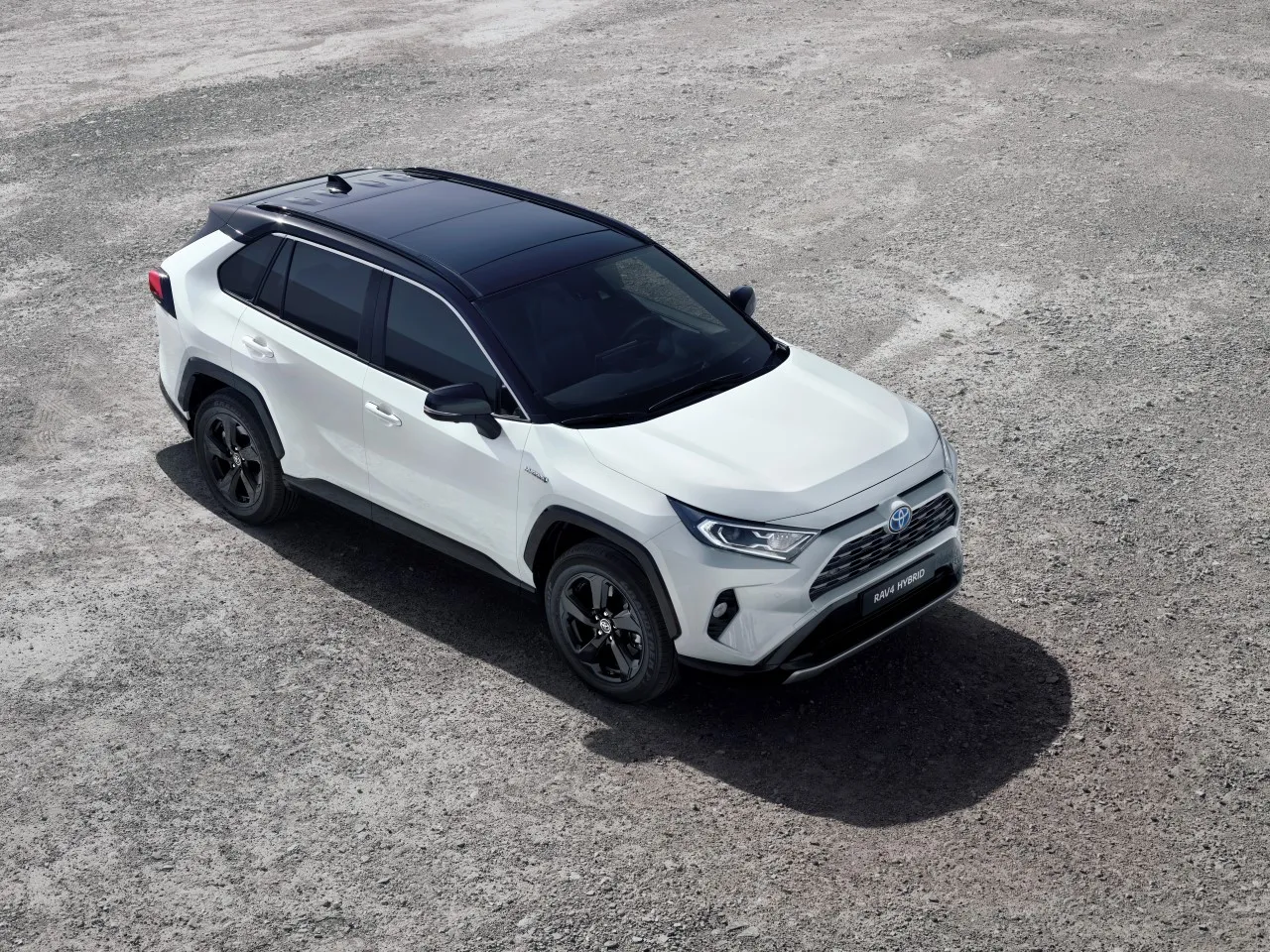 Toyota RAV4 Hybrid różne wersje wyposażenia