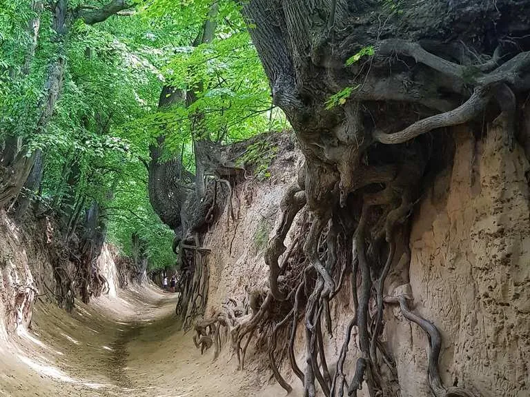 szlaki rowerowe Kazimierski Park Krajobrazowy