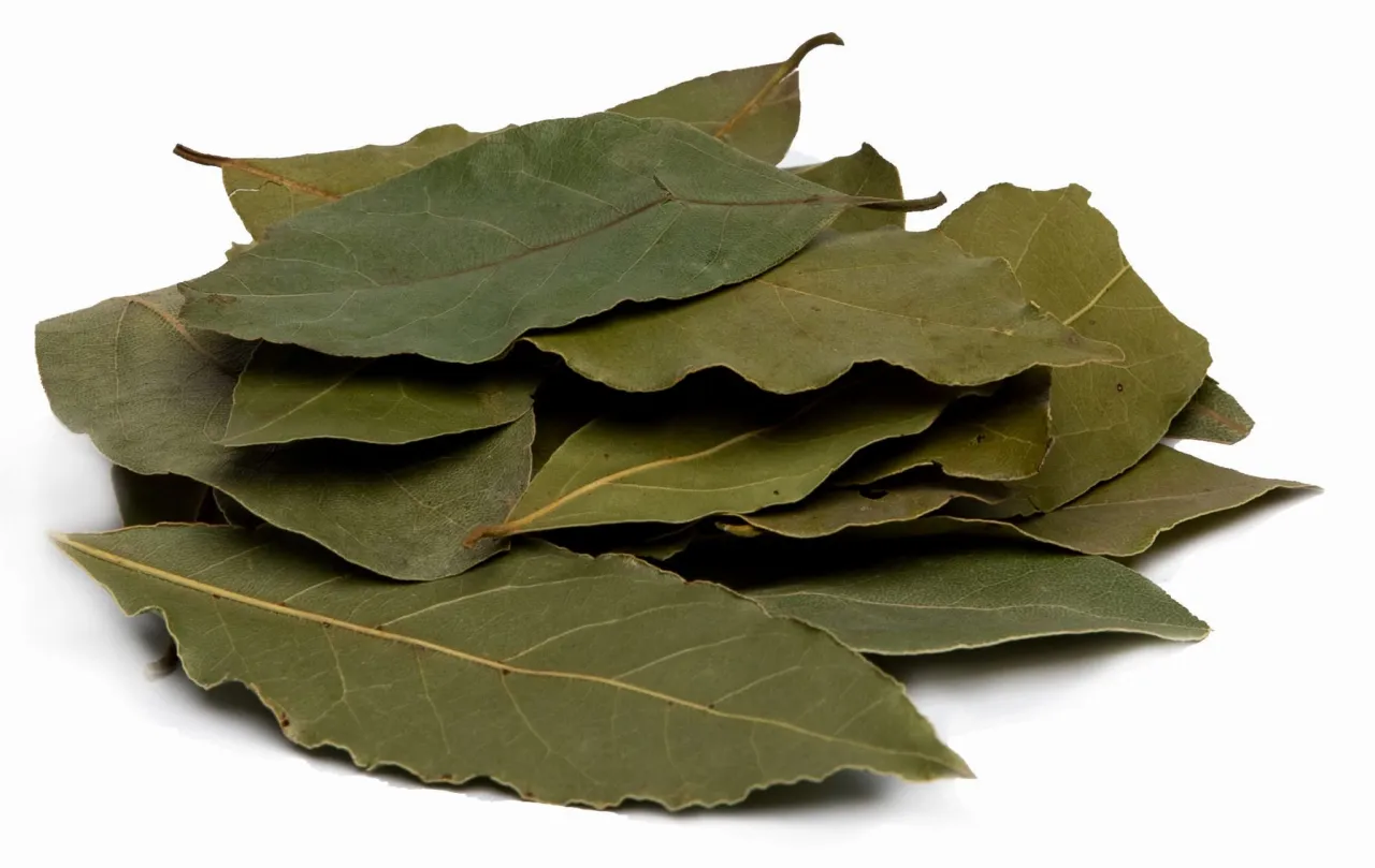 klasyczne przyprawy do kapusty koperek kminek liść laurowy