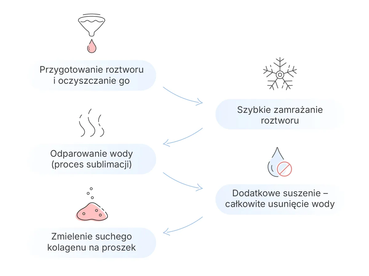 proces liofilizacji kolagenu