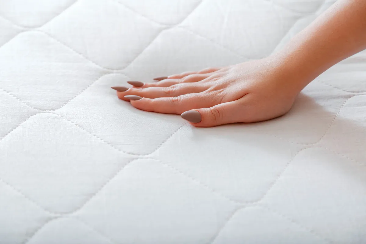 Kurz i roztocza w materacu