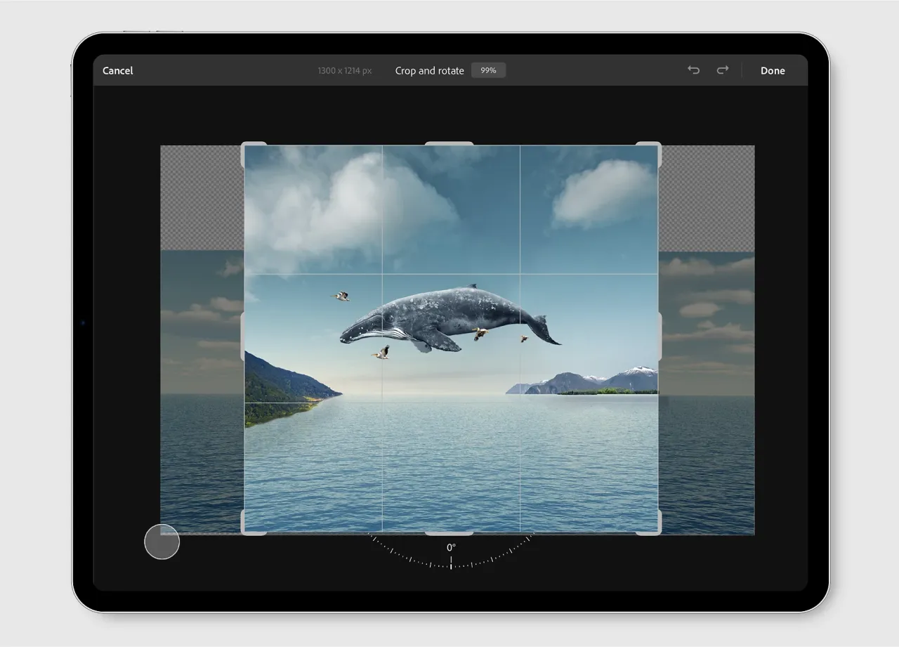 Photoshop menu obrót obrazu