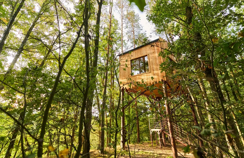nietypowe noclegi w Polsce glamping domki na drzewie