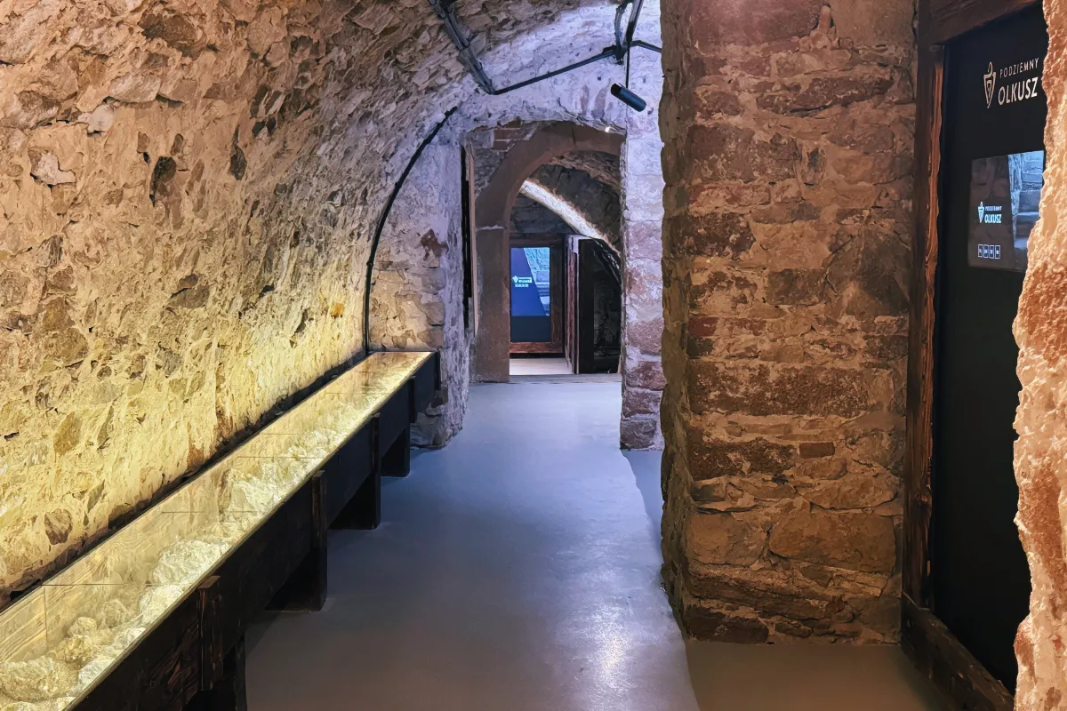 Kamienne korytarze podziemnej trasy w Olkuszu. Wzdłuż ściany ekspozycja z podświetlonymi minerałami.