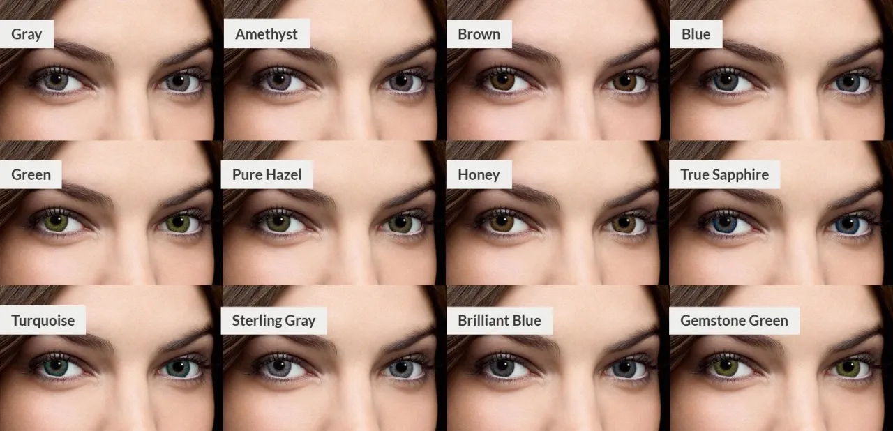 widok przez brązowe soczewki vs szare soczewki kontrast