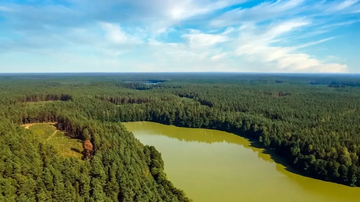 Jezioro Czarne Czarny Piec krajobraz las woda