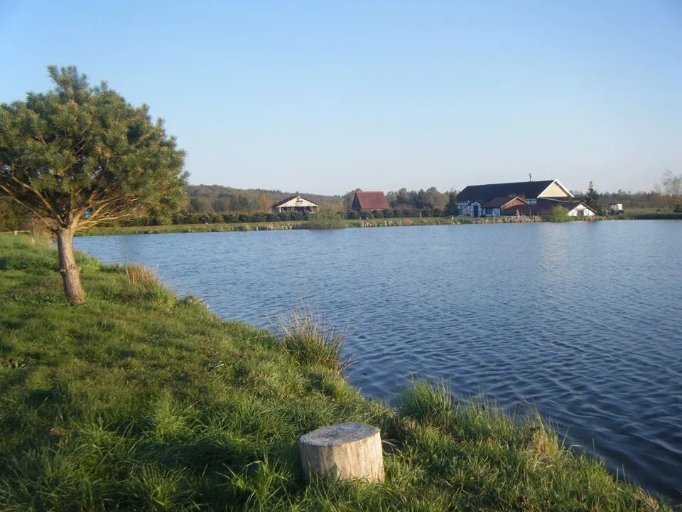 łowisko u gosi ryby karp amur szczupak