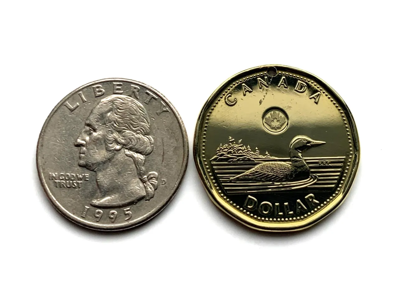 Kanadyjska moneta loonie