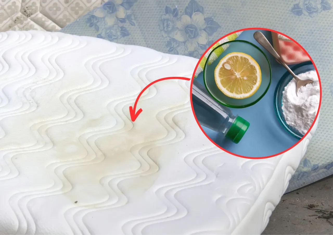 Materac z ochraniaczem na materac