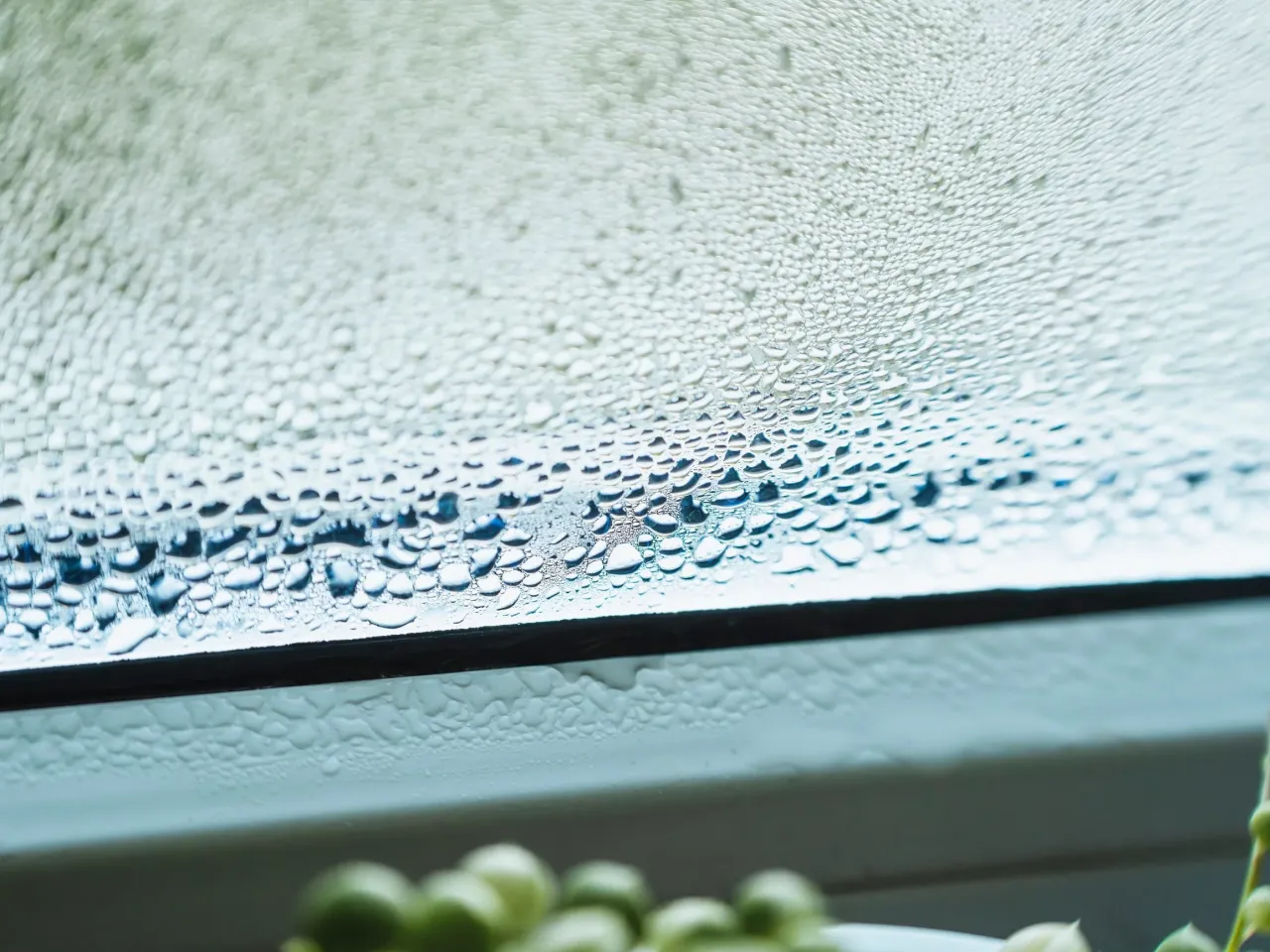 Krople wody na szybie to kondensacja. Para wodna z powietrza osiada na zimnej powierzchni, tworząc małe kropelki.