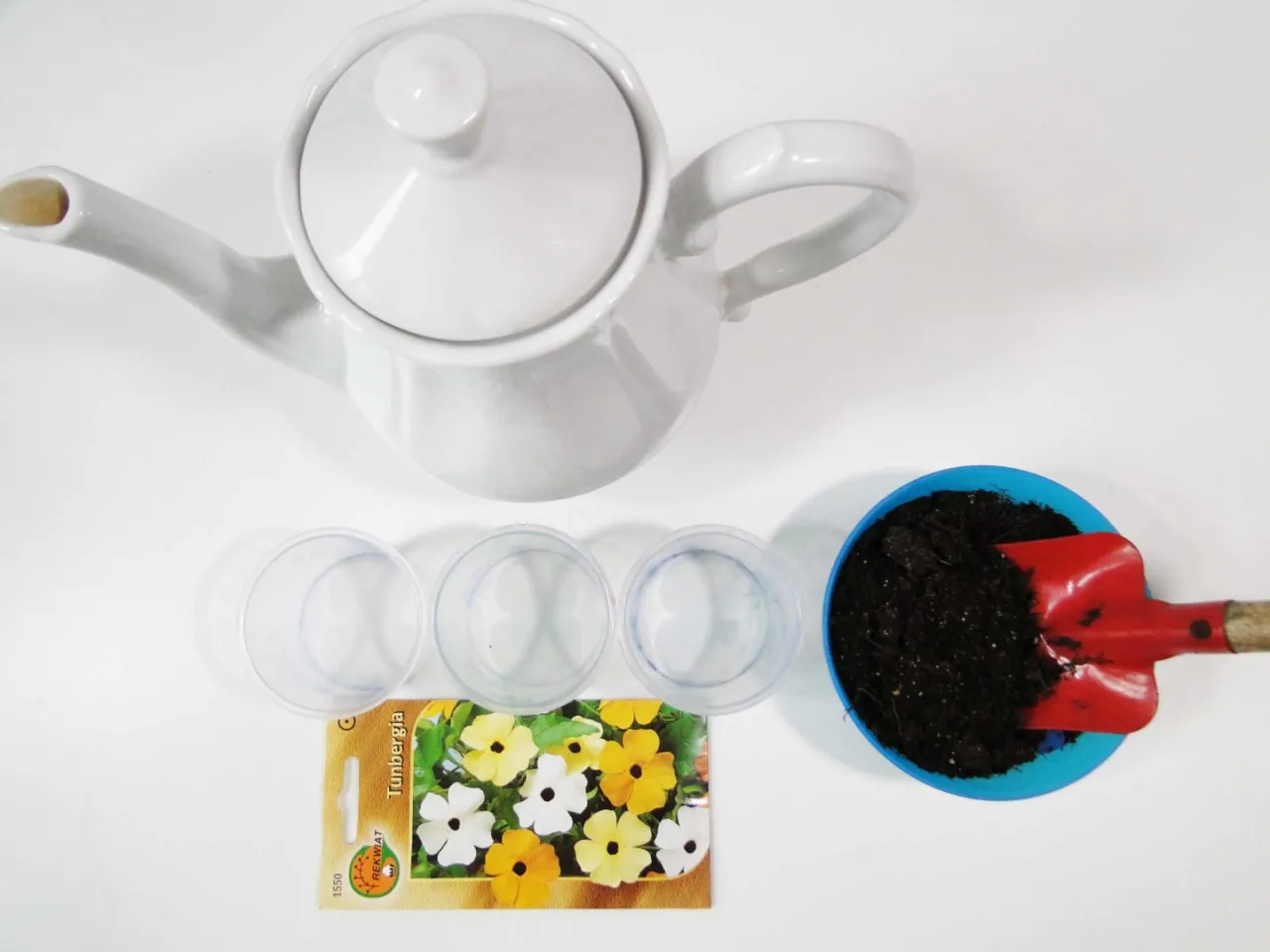 Materiały do eksperymentów z roślinami w domu