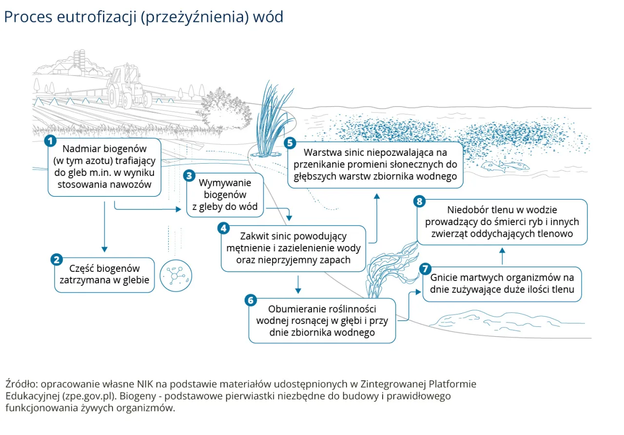 Nadmiar nawoz&oacute;w i wymywanie biogen&oacute;w to gł&oacute;wne źr&oacute;dła zanieczyszczeń wody, prowadzące do zakwitu sinic, obumierania roślinności i niedoboru tlenu.