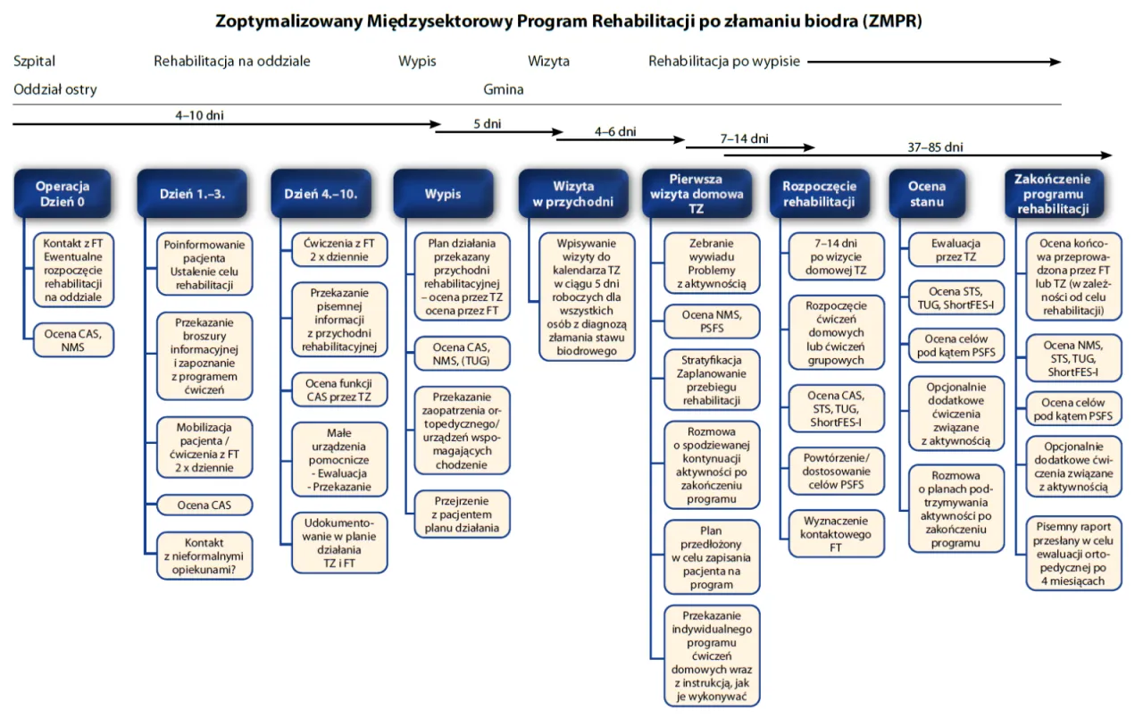 harmonogram rehabilitacji po operacji kręgosłupa infografika
