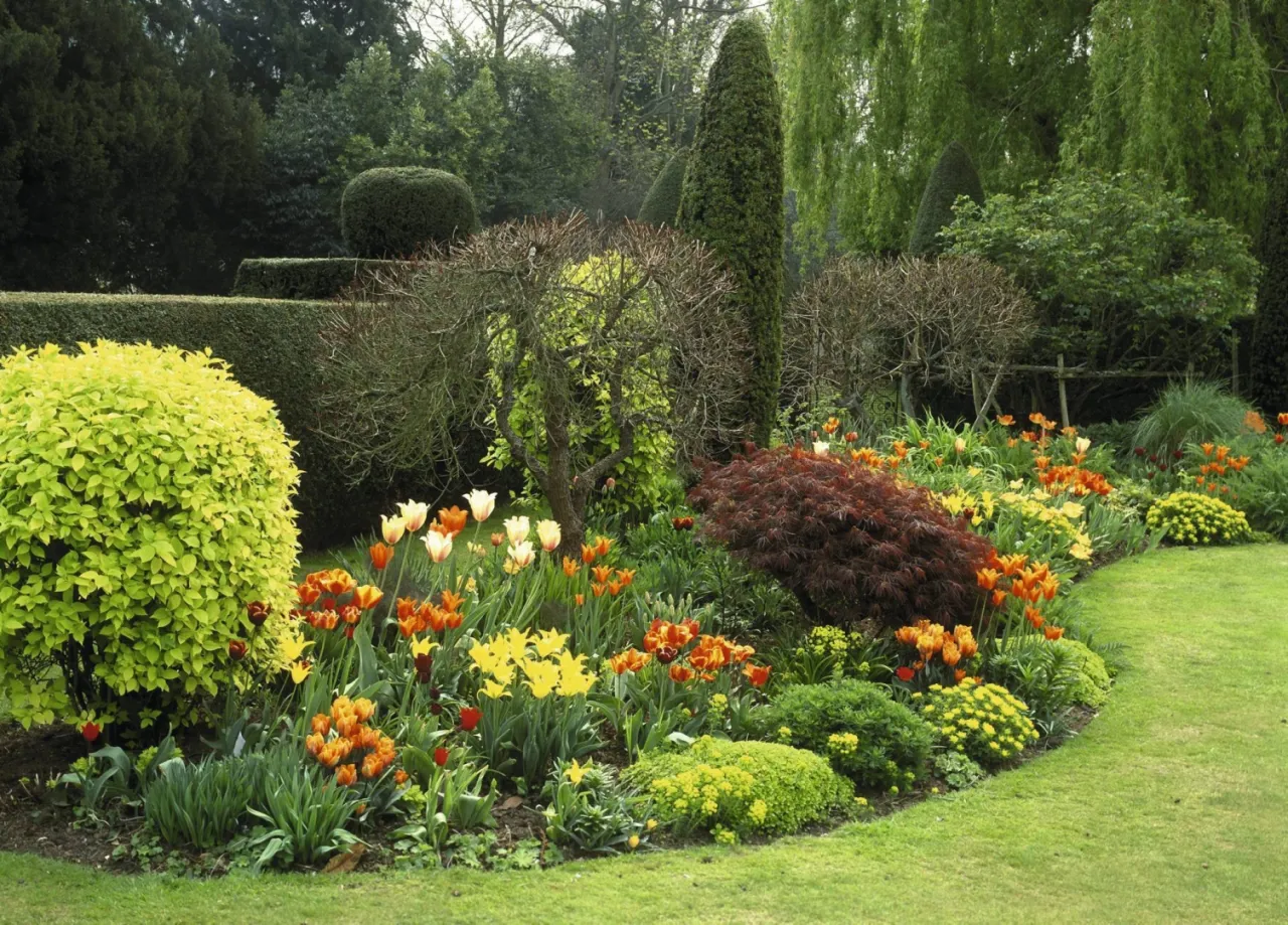 rabata z krzewuszką i krzewami liściastymi