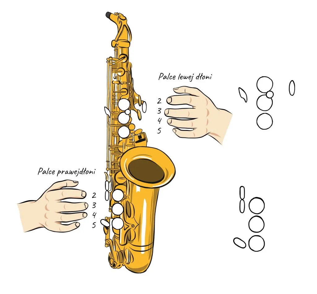 schemat budowy saksofonu z opisem części