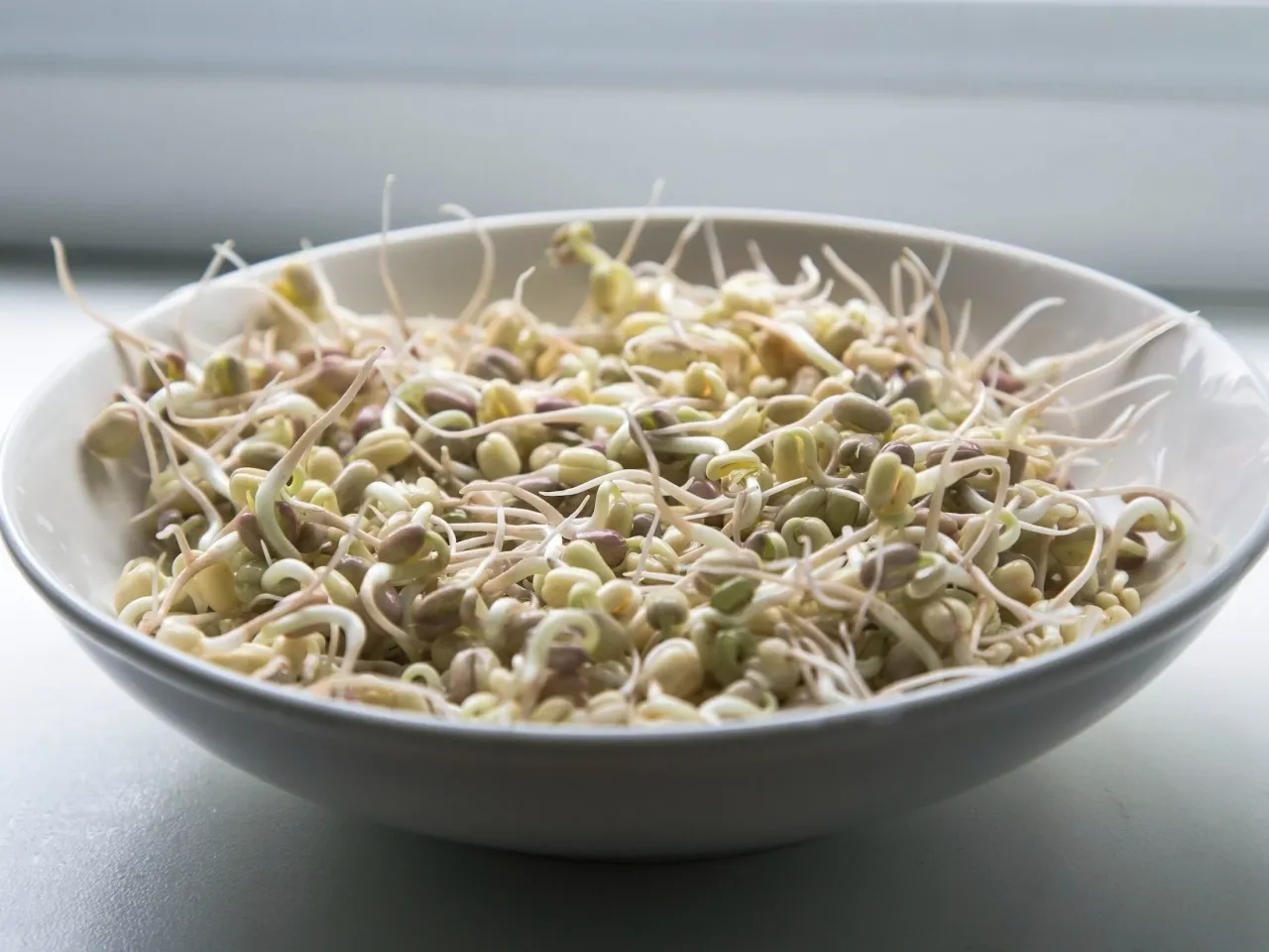 Salmonella E. coli Listeria kiełki