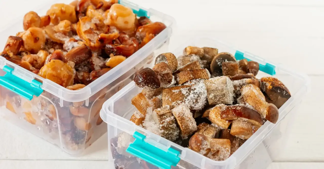 Dwa pojemniki z mrożonymi grzybami, gotowe do przechowania. To prosty spos&oacute;b, jak mrozić grzyby na zimę.